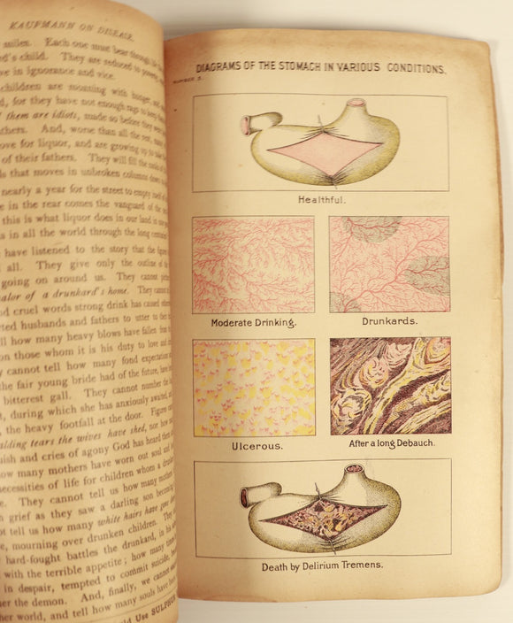 f1128562-2d0d-47fe-b112-3c19a84a5ba6