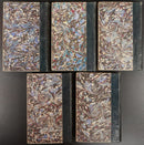 f2077e5d-4e34-4ae3-a502-9c8607d176e5