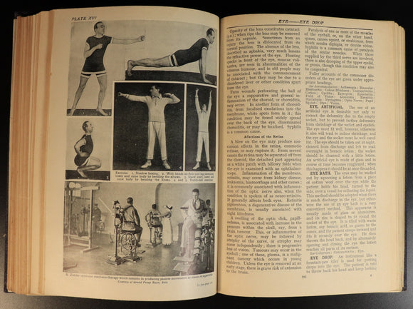 f2338a06-0194-47e7-b776-c7aa341a8f50