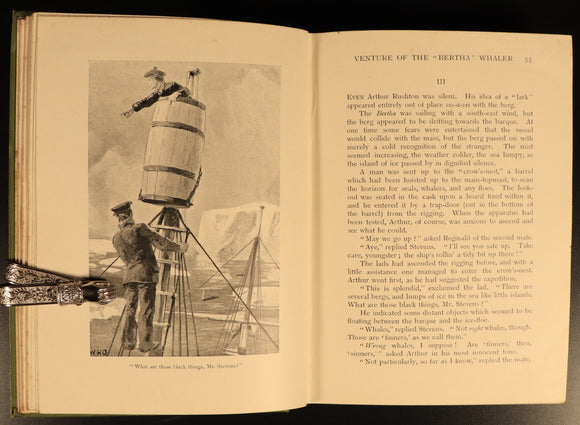 f246cb62-bf8e-4495-9451-19f1984dee41