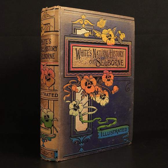 f24fea5e-0ee0-401c-998a-0e8fa54f3372