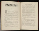 c1895 From Log Cabin To White House W.M. Thayer Antique American History Book-10