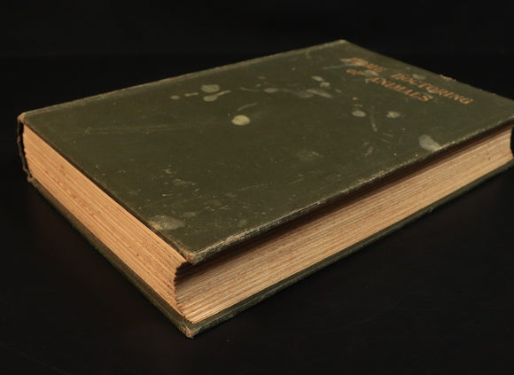 f326de29-be62-45cb-a345-42ec55848284