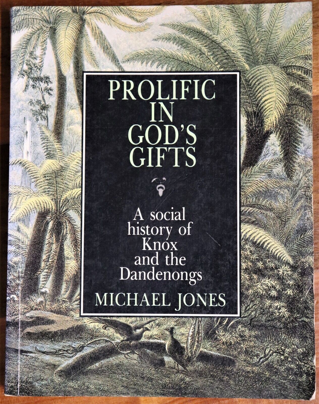 1983 Prolific In Gods Gifts: Knox & The Dandenongs Australian Local History Book