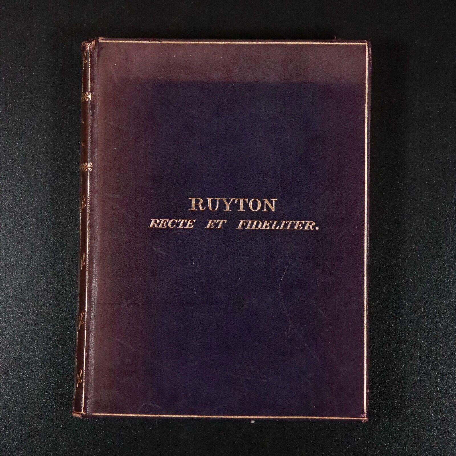 1908 Schumann by Annie W. Patterson Antique Classical Music History Book