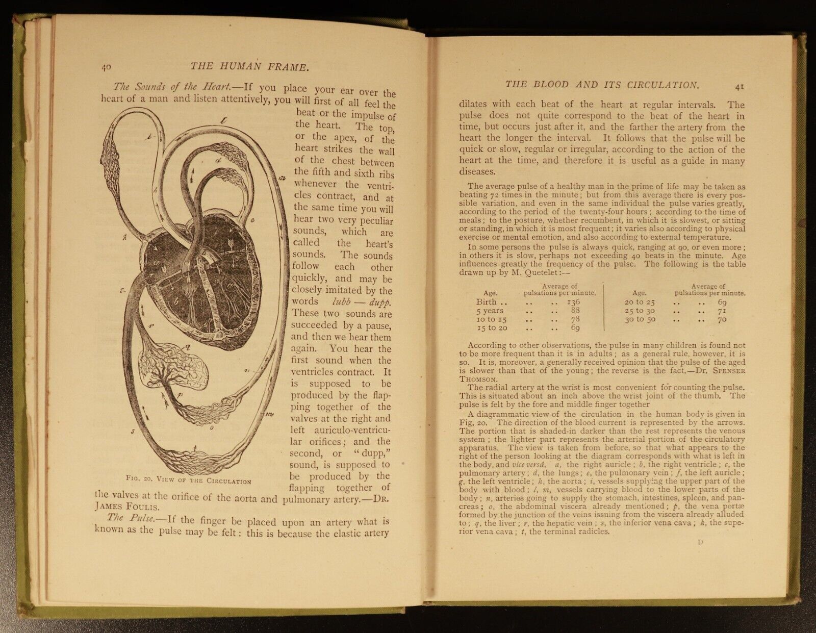 c1893 Human Body & Marvellous Structure Antique Medical & Health History Book