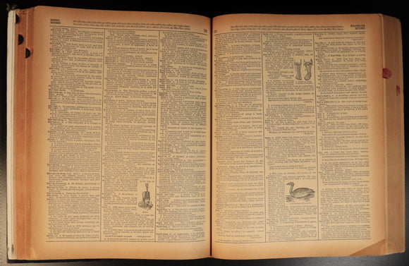 f4cf2665-d876-4a3e-b466-08c57eaf4511