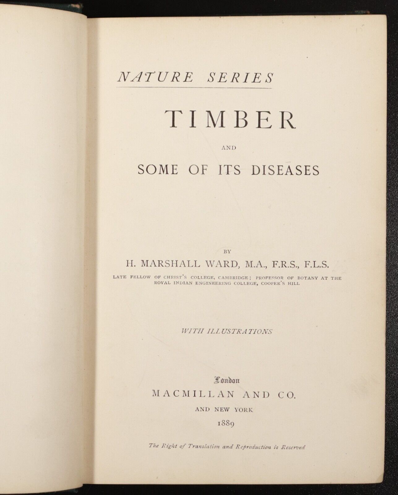 1889 Timber & Some Of Its Diseases Antique Reference Book by H. Marshall Ward - 0