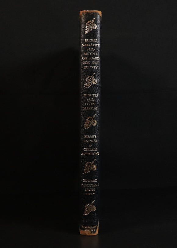f5aebdb3-b65a-4906-89ad-87698b894260