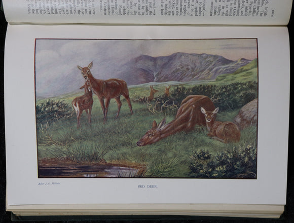 f64447b5-dde9-47c7-89a8-2da42b7a928c