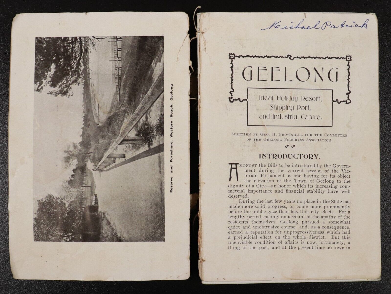 1908 Illustrated Guide To Geelong & District Australian Antique History Book