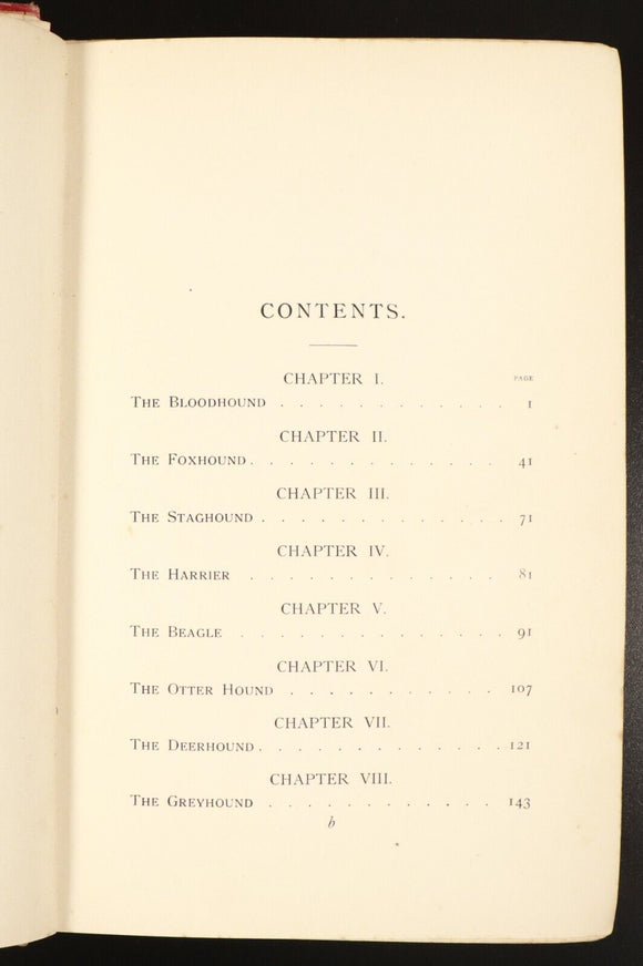1893 Modern Dogs Of Great Britain & Ireland Antique Sporting Dog Reference Book