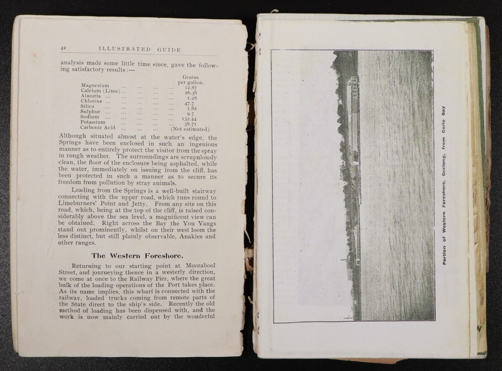 1908 Illustrated Guide To Geelong & District Australian Antique History Book