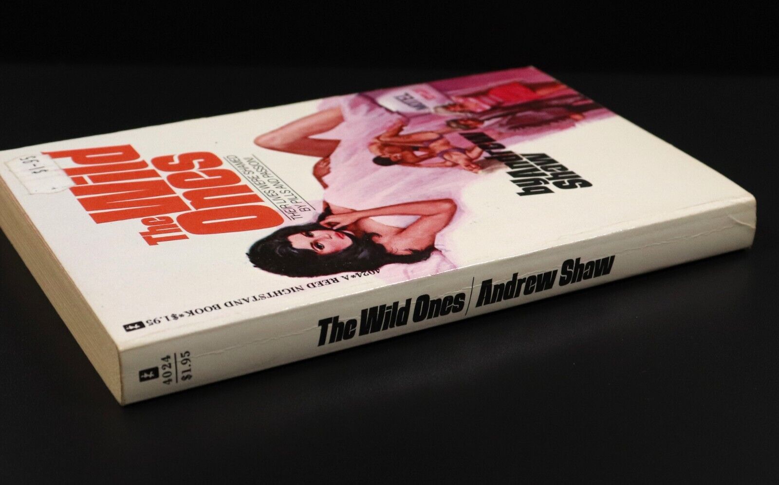 1974 The Wild Ones by Andrew Shaw Vintage Erotic Pulp Fiction Book 1st Edition - 0