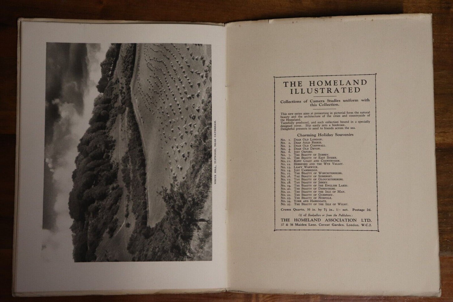 1934 The Beauty Of Surrey Antique British Natural History Book Dixon-Scott