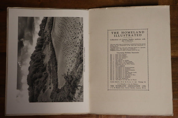 1934 The Beauty Of Surrey Antique British Natural History Book Dixon-Scott