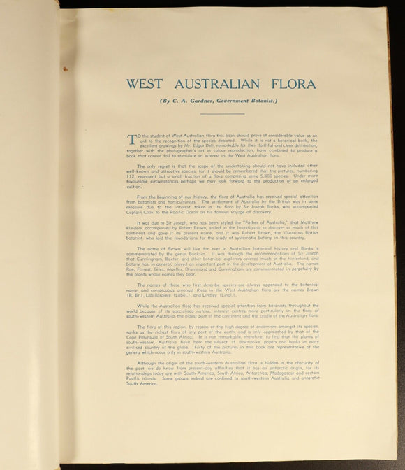 1951 West Australian Wild Flowers by C.A. Gardner Vintage Botanic Reference Book