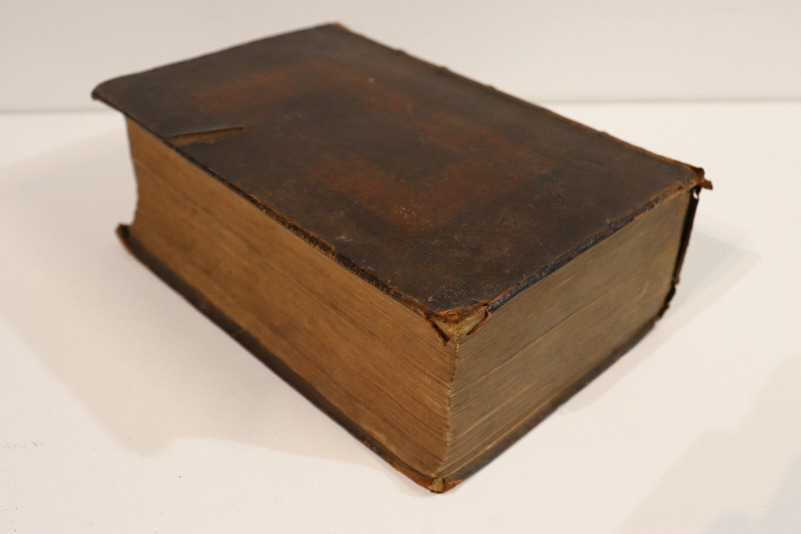 fa9126f9-6119-4d0b-9ebc-4abae033c6a7