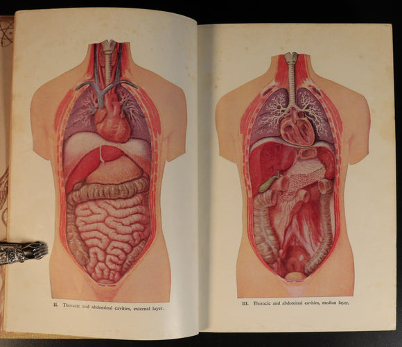 fb1a909a-c73e-4d19-adae-7db797828623