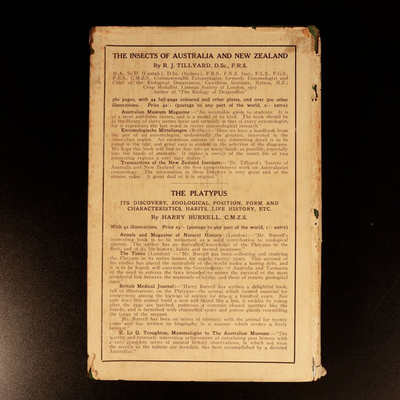1928 Coo-ee Talks by W. Robertson Australian Aboriginal History Book 1st Edition