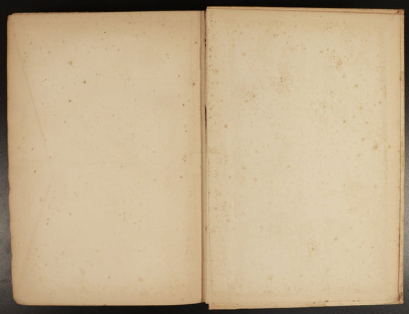 fd0823b2-9904-4dca-bd5d-6f1a2a2b2141