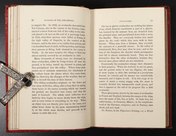 1880 Glimpses Of Nature Science & Art For The Young Antique Natural History Book