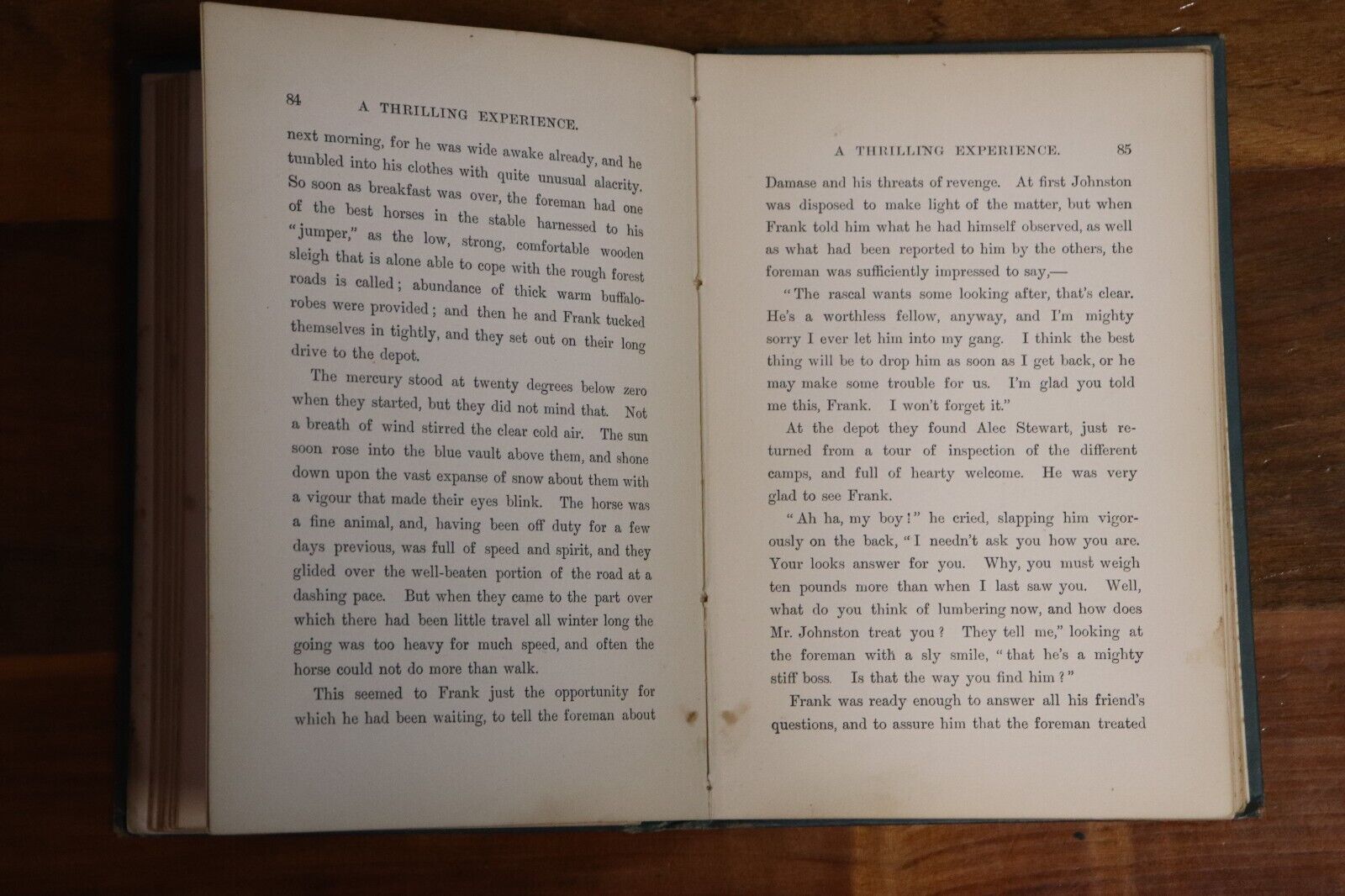 1897 The Young Woodsman by J. MacDonald Oxley Antique Fiction Book