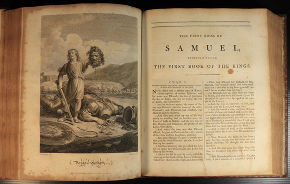 fe7435e6-0199-49b5-a966-bd060facc7dd