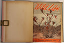 1946 2vol Wildlife: Australian Nature Magazine Antique Natural History Books-5