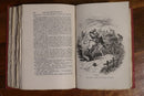 c1910 Martin Chuzzlewit by Charles Dickens Antique Classic Literature Book-7