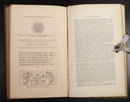 1860 Britannia Antiquissima Antiquarian History Book Druids Cimmerian Philology-12