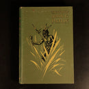 ff3483dc-319d-4319-b56c-902eda8ab041