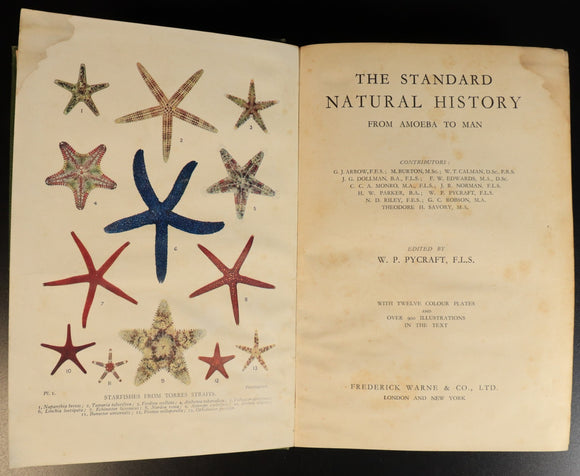 ffff7cb8-0a86-4488-be51-92ba94bd0874