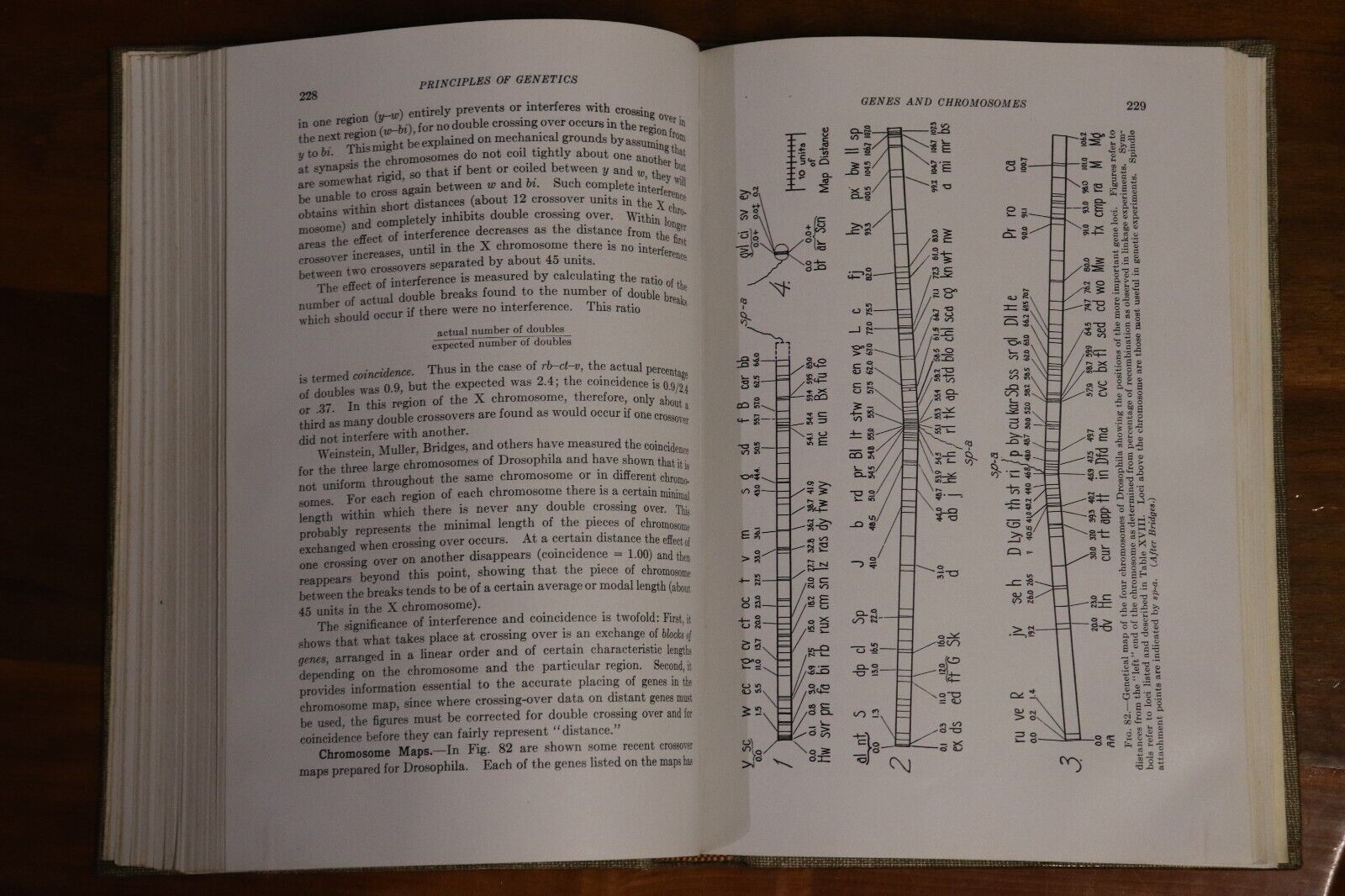 Principles of Genetics by EW Sinnott - 1939 - Antique Book - 3rd Edition