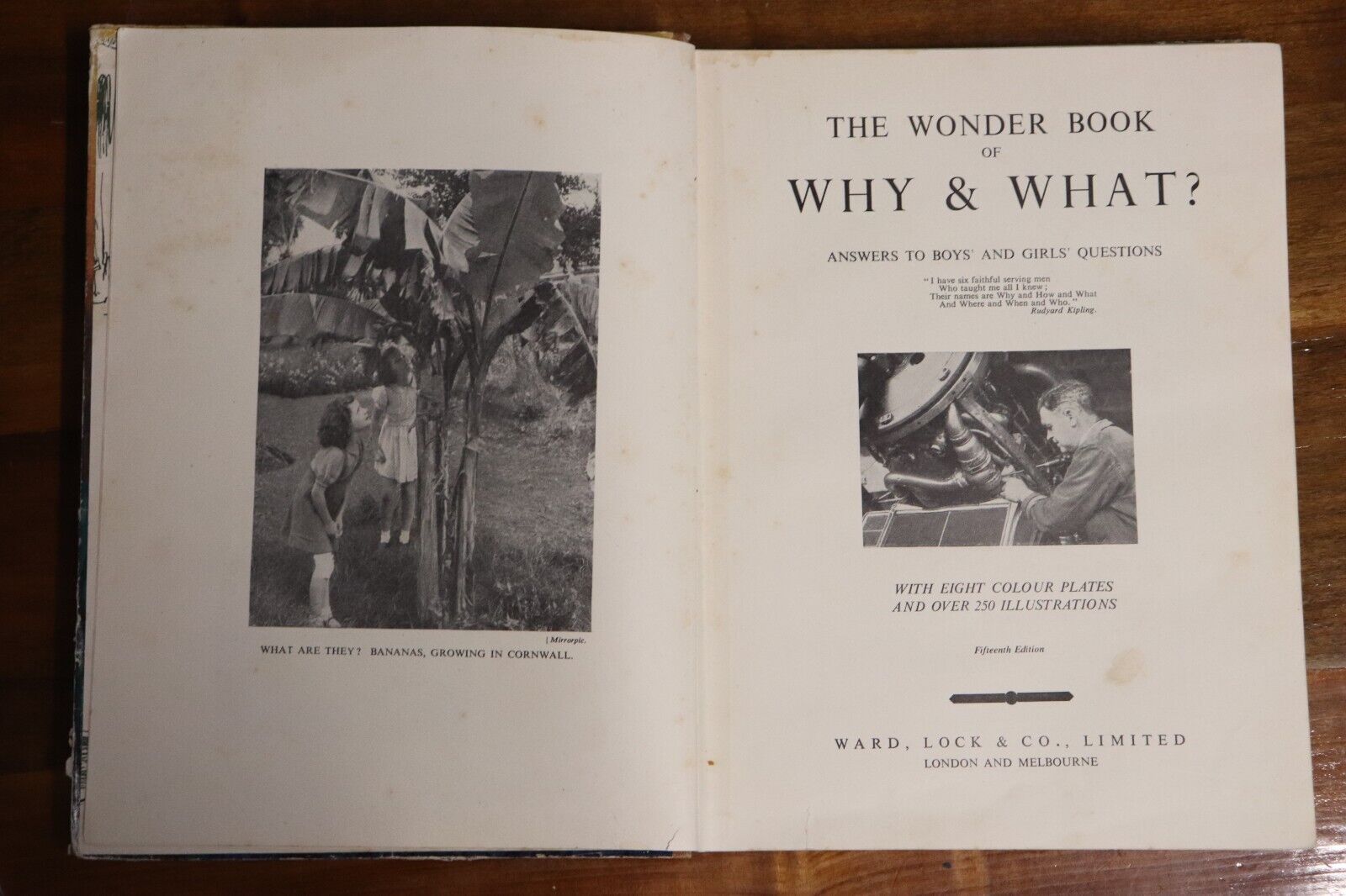 The Wonder Book Of Why & What - c1949 - Antique Childrens Book - 0