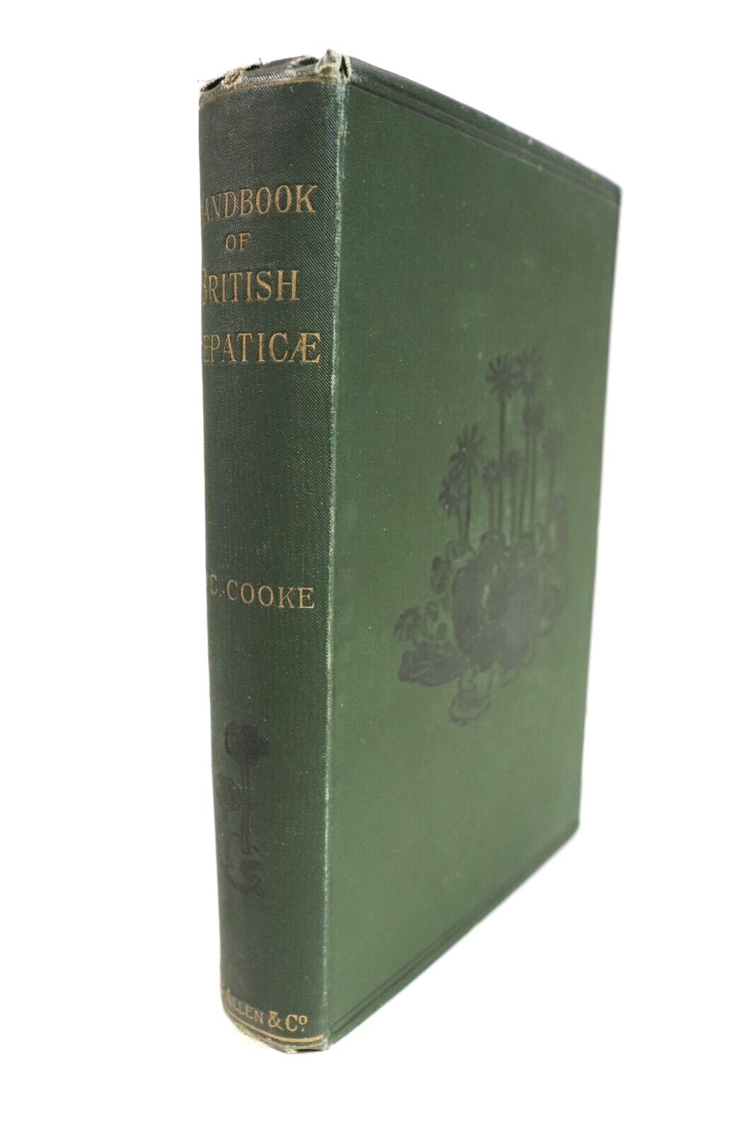 Handbook Of British Hepaticae by M. Cooke - 1894 - Antique Natural History Book