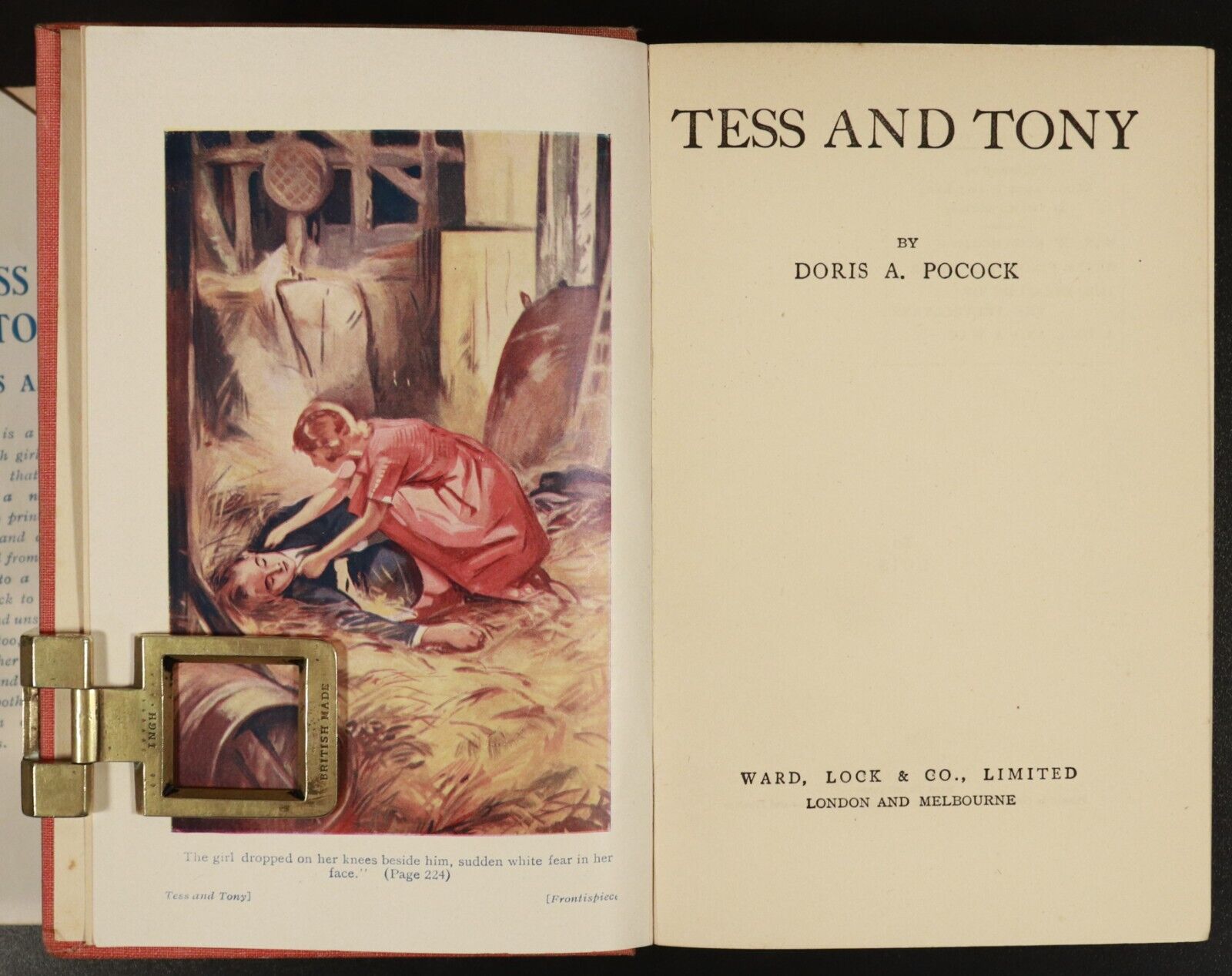 c1925 Tess & Tony by Doris A. Pocock Antique British Childrens Fiction Book - 0