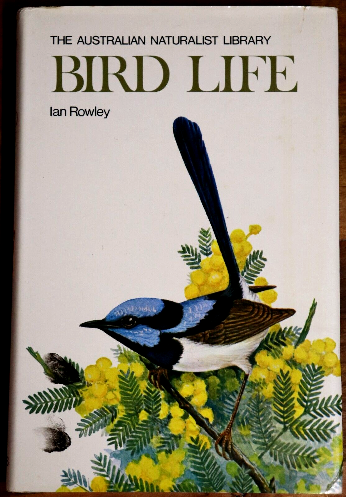 Bird Life by Ian Rowley - 1975 - 1st Edition Australian Naturalist Book