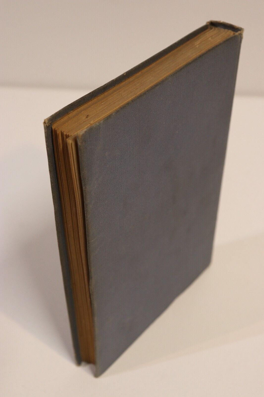 Morley's Library: Izaak Walton's Lives - 1888 - Antique British History Book