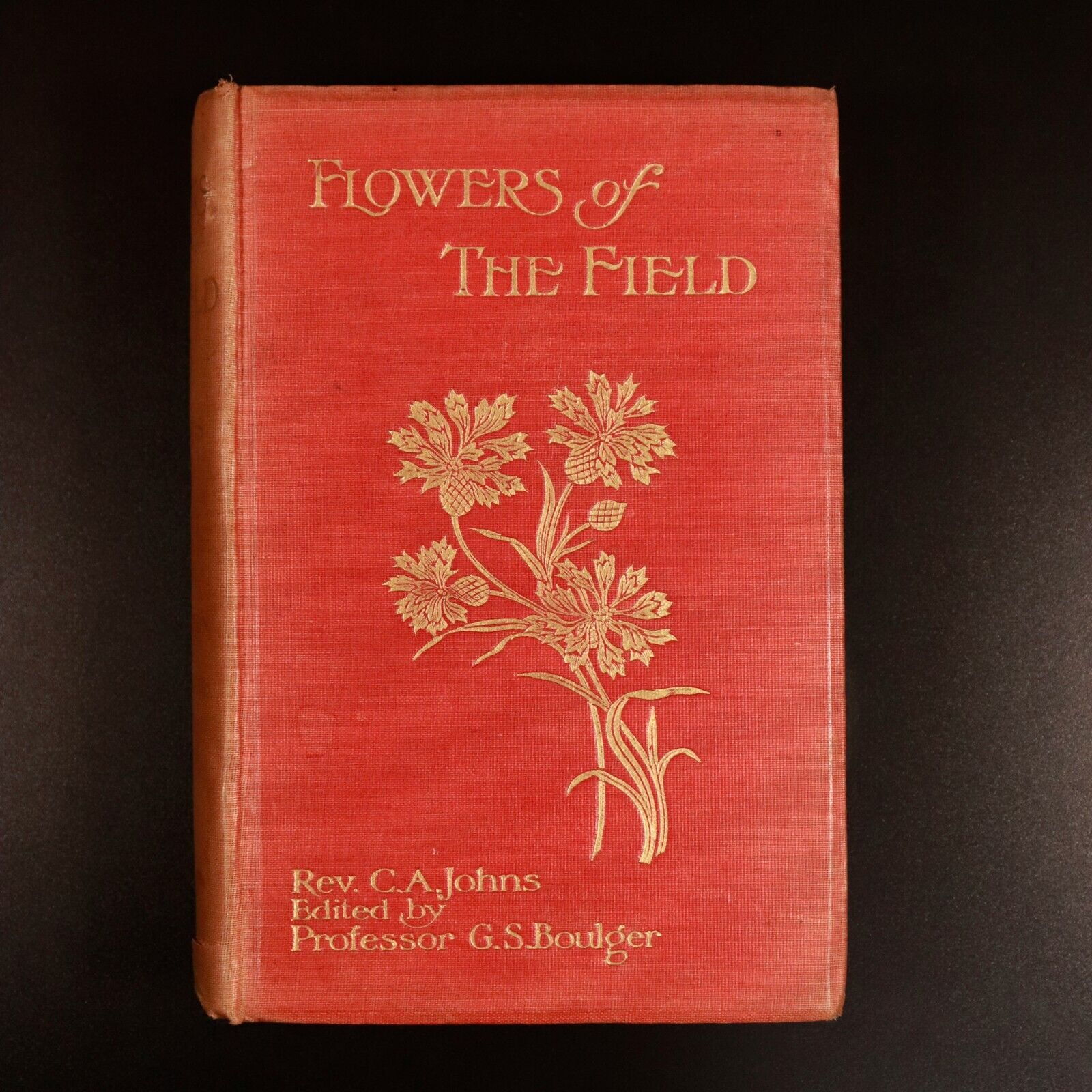 1911 Flowers Of The Field by C.A Johns Antique Flora Reference Book