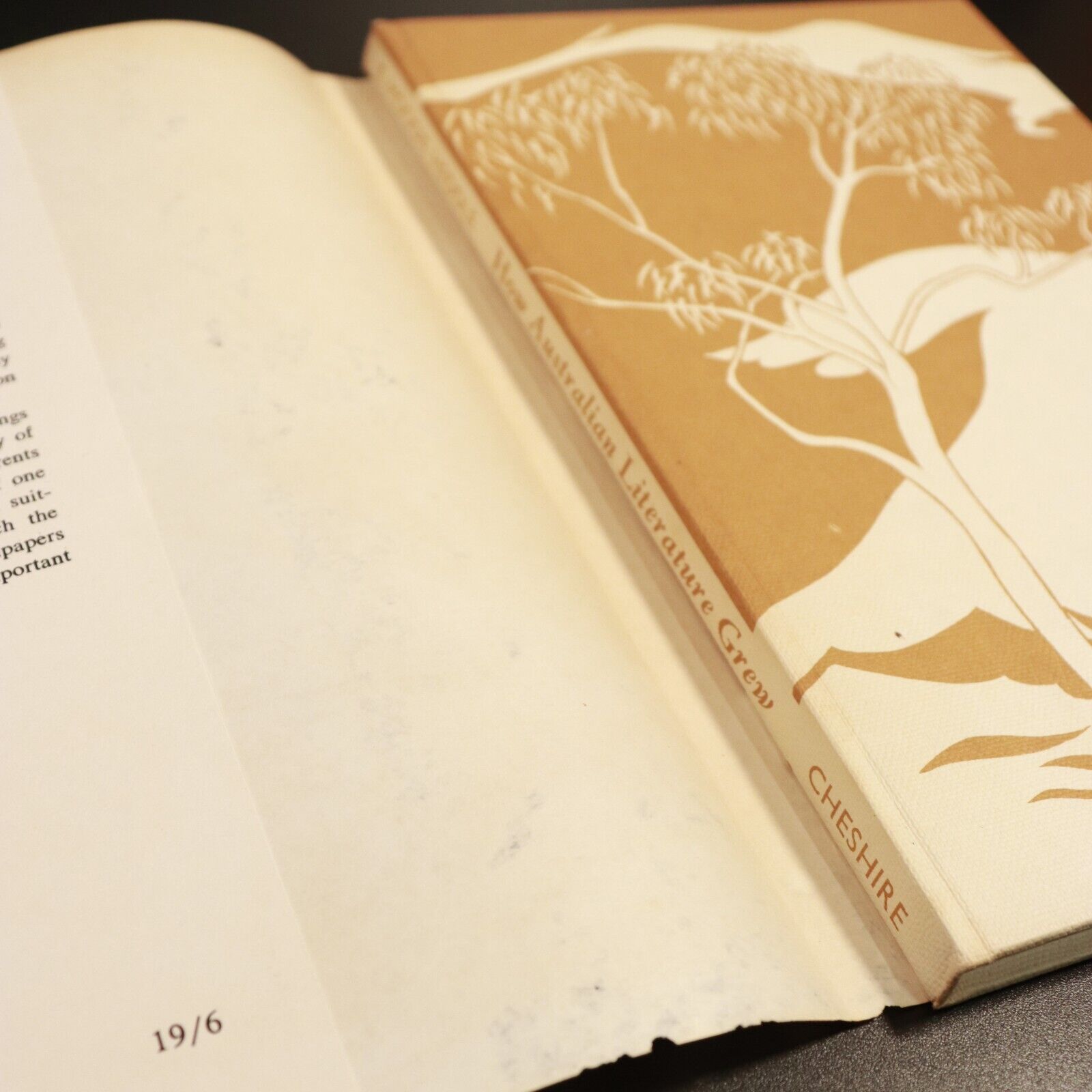 1962 How Australian Literature Grew by E.M. Heddle & I. Millington Vintage Book