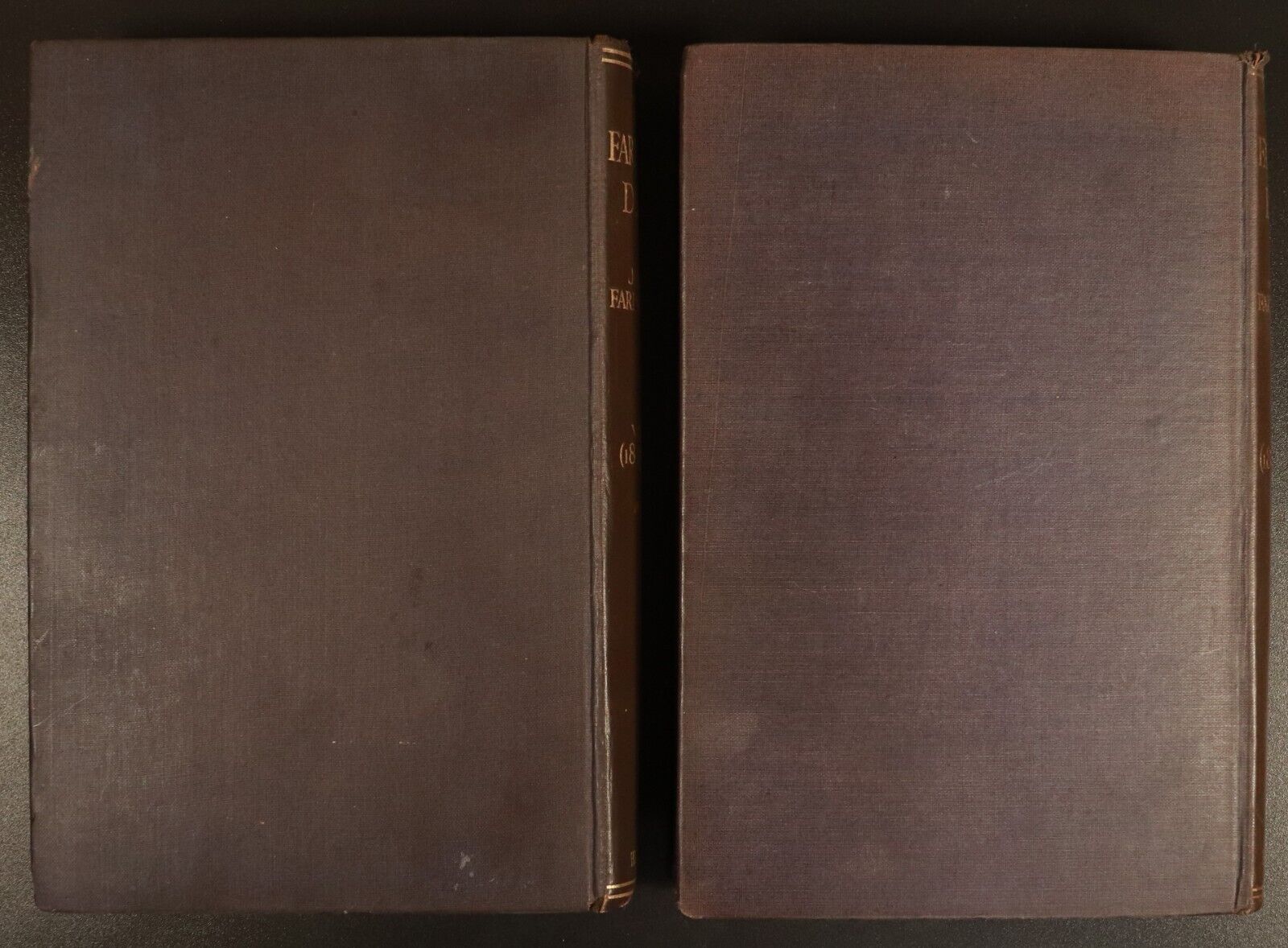1925 2vol The Farington Diary by Joseph Farington Antique British History Books