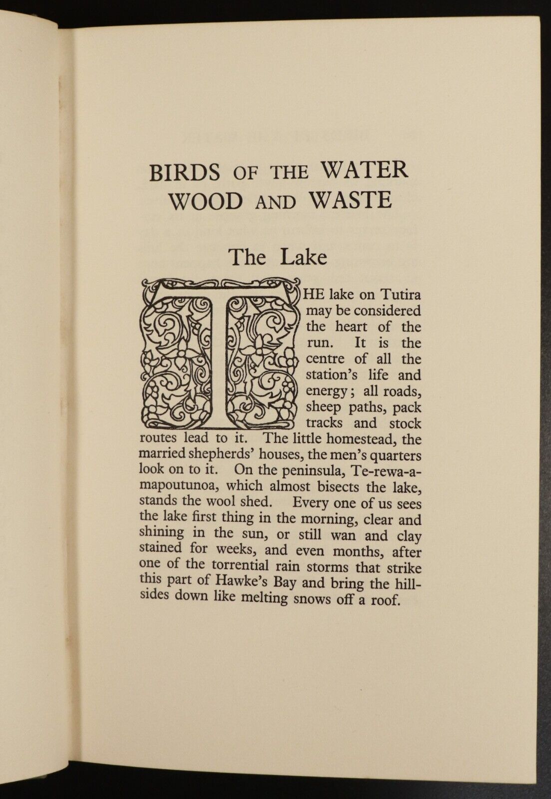1927 Birds Of The Water, Wood & Waste by H. Guthrie-Smith Antique Book Nature