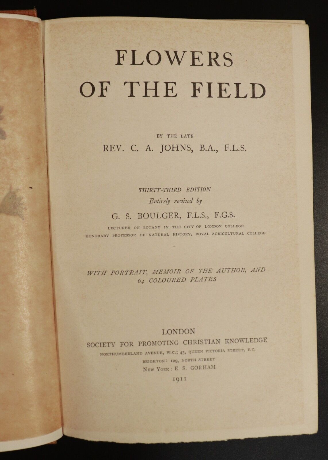 1911 Flowers Of The Field by C.A Johns Antique Flora Reference Book