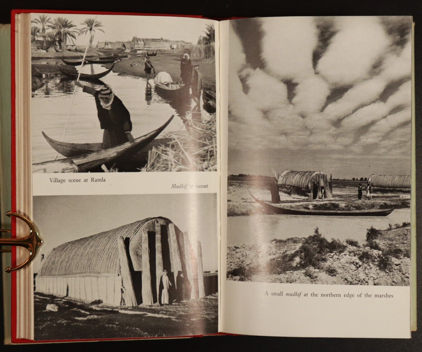 1959 A Reed Shaken By The Wind by Gavin Maxwell Natural History Book