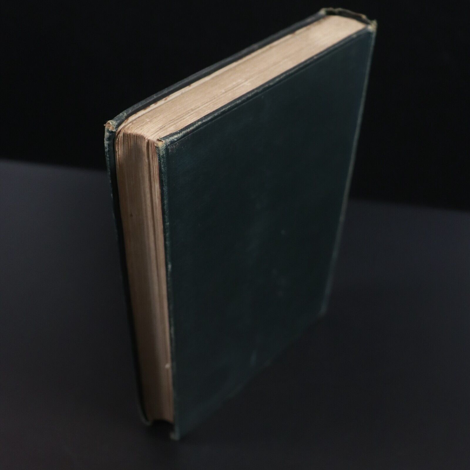 1886 Kenilworth by Walter Scott Antique Fiction Book Waverley Novels