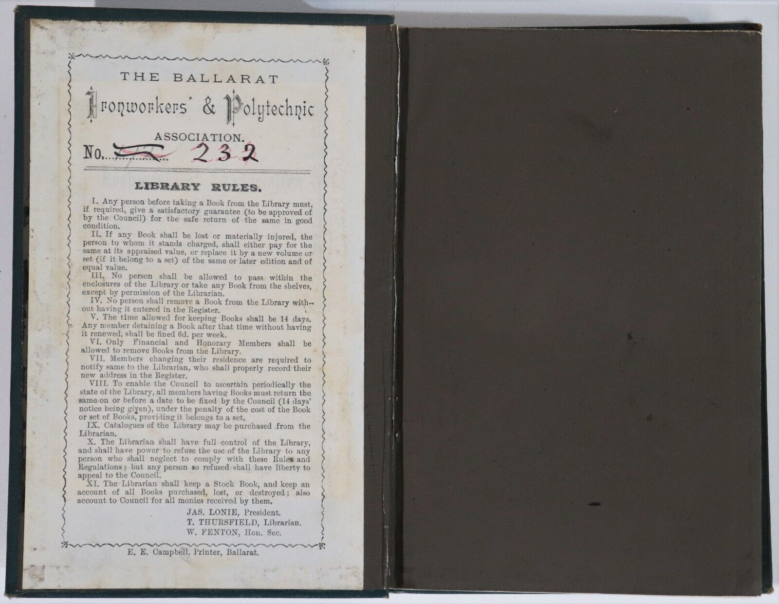 Climbing Plants by Charles Darwin - 1888 - Antique Natural History Book