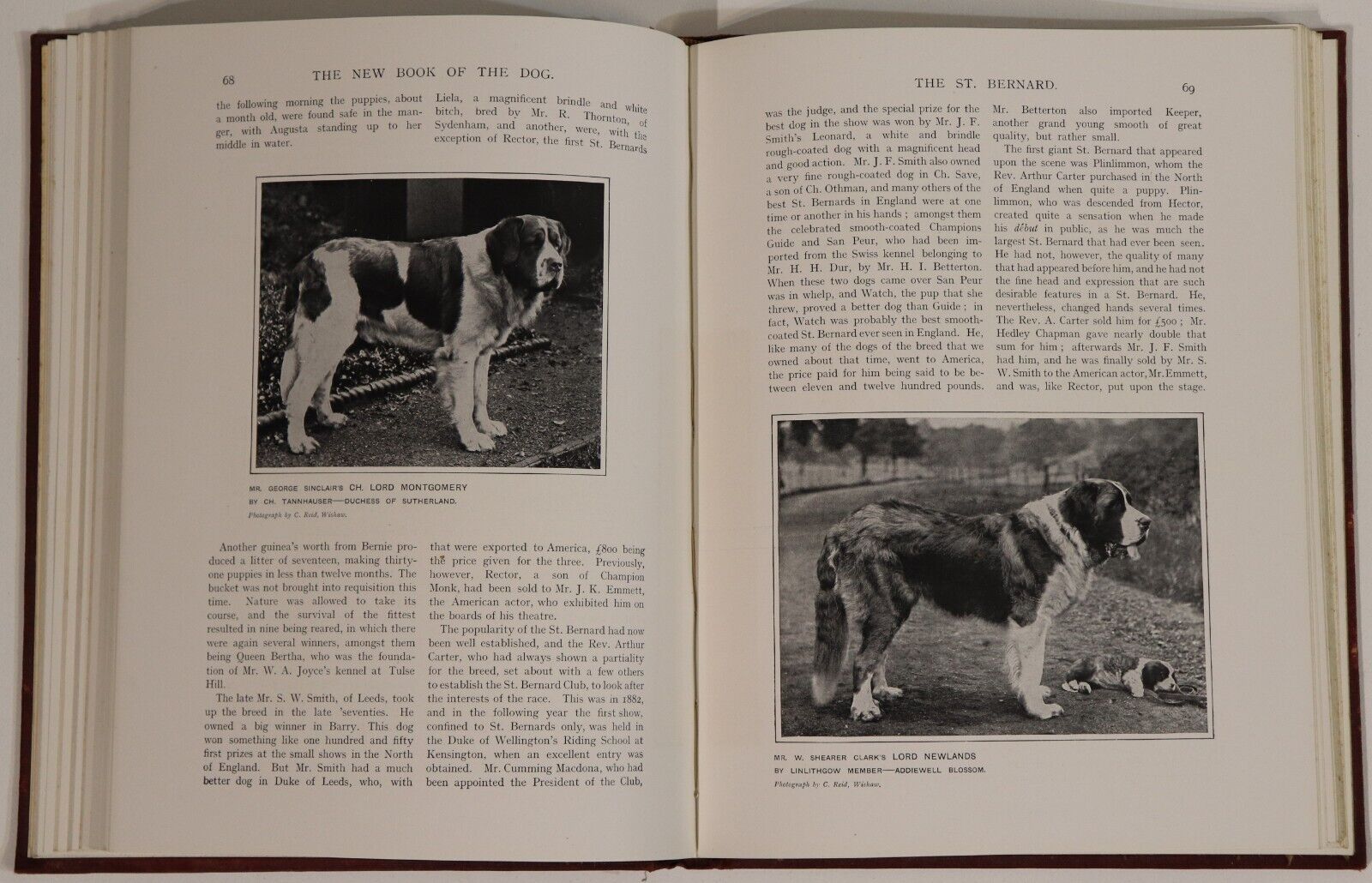 Cassell's New Book Of The Dog - c1912 - Antique Dog Reference Books