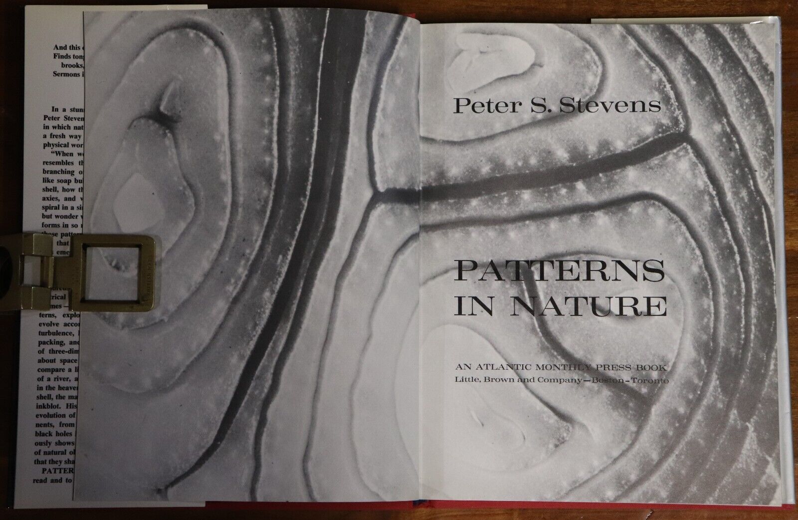 Patterns In Nature by Peter S Stevens - 1974 - 1st Edition Art & Science Book - 0