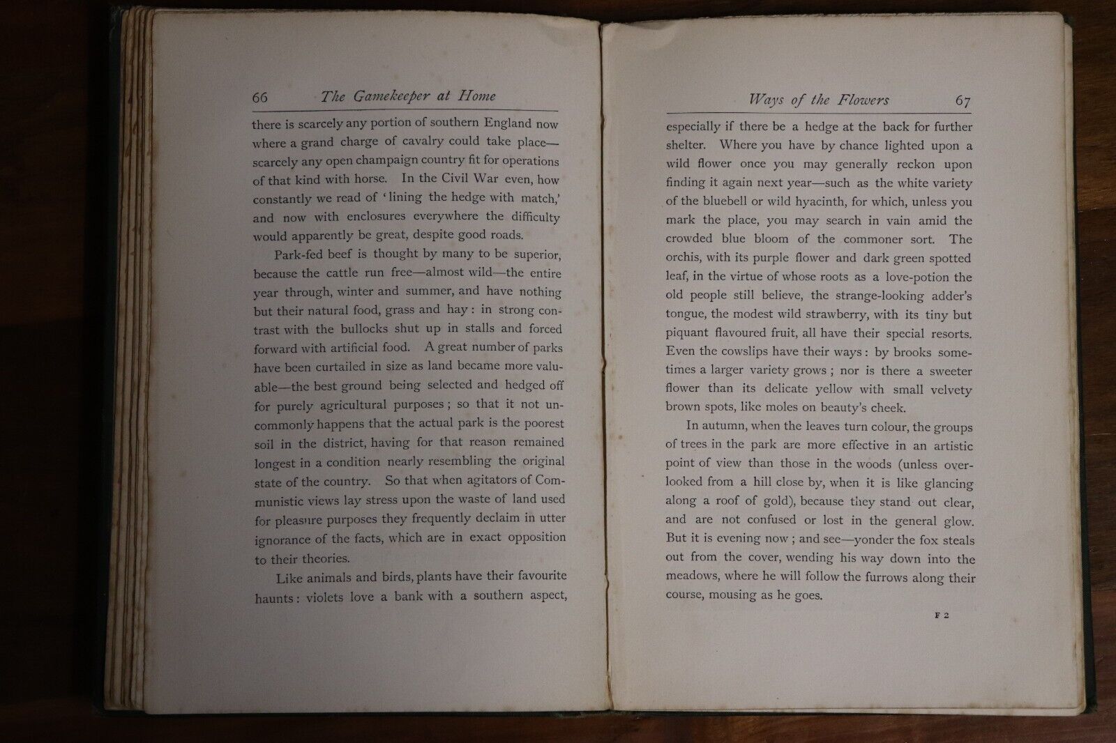 The Gamekeeper At Home by R Jefferies - 1889 - Antique Natural History Book